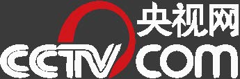 cctv vector